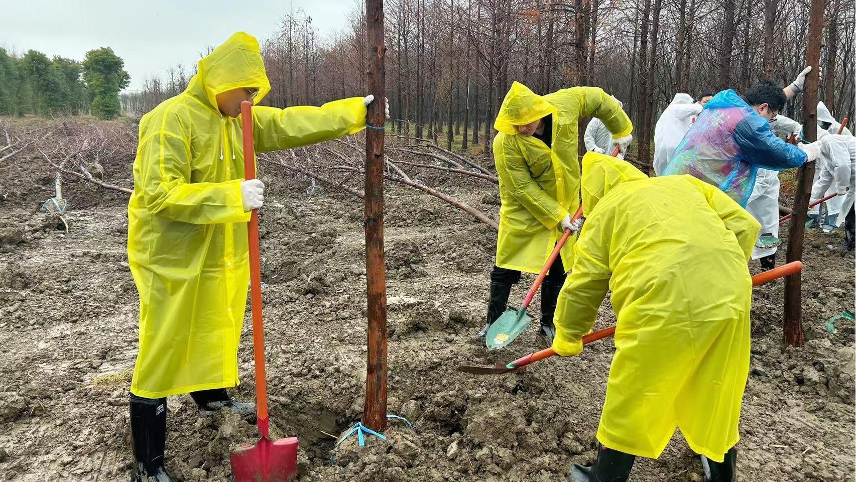 植樹節(jié) | 種下綠色希望，我們在行動！