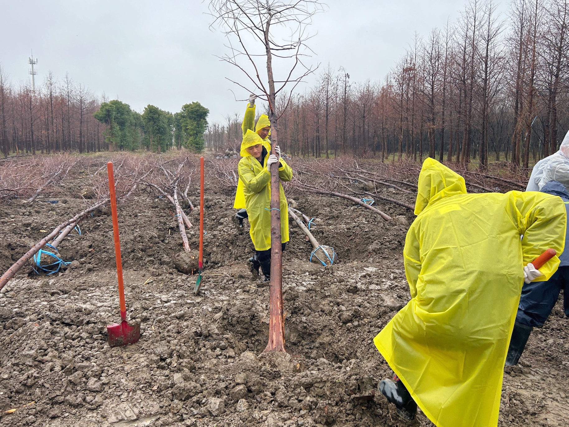 1741859506397699.jpeg 1741859506397699.jpeg