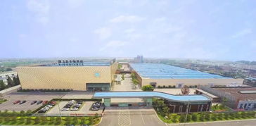 隆力奇 堅守大健康產(chǎn)業(yè)，以網(wǎng)絡科技賦能民族品牌振興之路