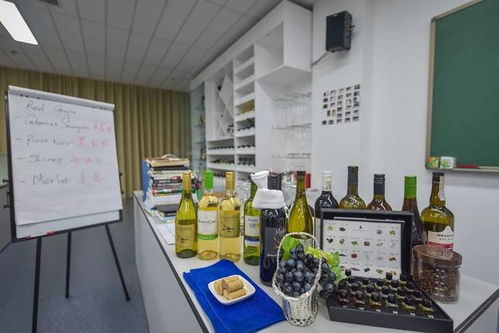 三亞中瑞酒店管理學(xué)院丨酒店管理與餐飲管理 全球十大熱門行業(yè)的雙翼