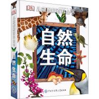 啟迪童心，點亮未來——少兒期刊的出版與使命